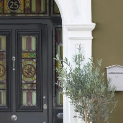 Sandtex® Ultra Smooth Masonry Paint Olive - 5L 17 Sandtex® Ultra Smooth Masonry Paint Olive - 5L -Paint Store 12808376 1084871500122906