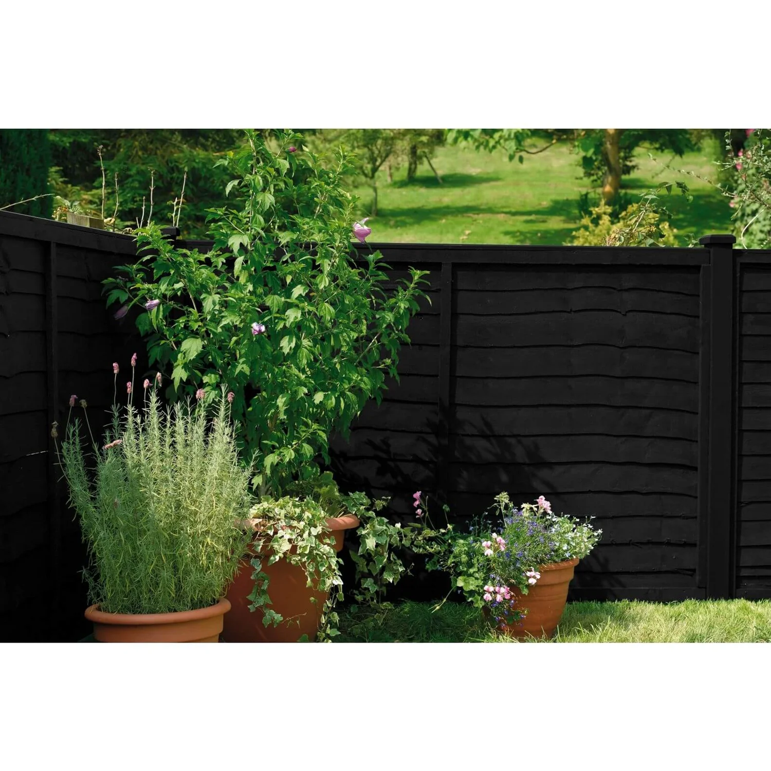 Cuprinol 5 Year Ducksback - Black - 5L 4 Cuprinol 5 Year Ducksback - Black - 5L - Image 2