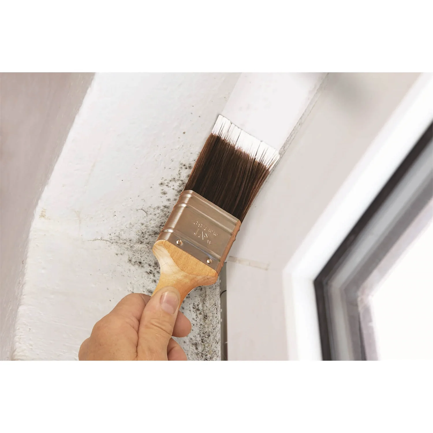 Anti Mould Paint White Silk - 2.5L 4 Anti Mould Paint White Silk - 2.5L - Image 2