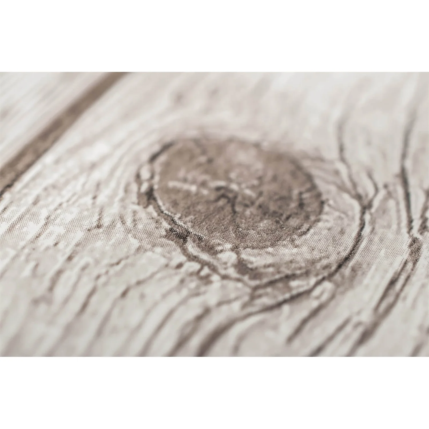 Fresco Wood Plank Neutral Wallpaper 6 Fresco Wood Plank Neutral Wallpaper - Image 4