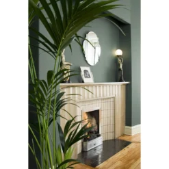 Craig & Rose 1829 Chalky Matt Emulsion Paint Pullman Green - 750ml 6 Craig & Rose 1829 Chalky Matt Emulsion Paint Pullman Green - 750ml -Paint Store 12819693 1174833222393816