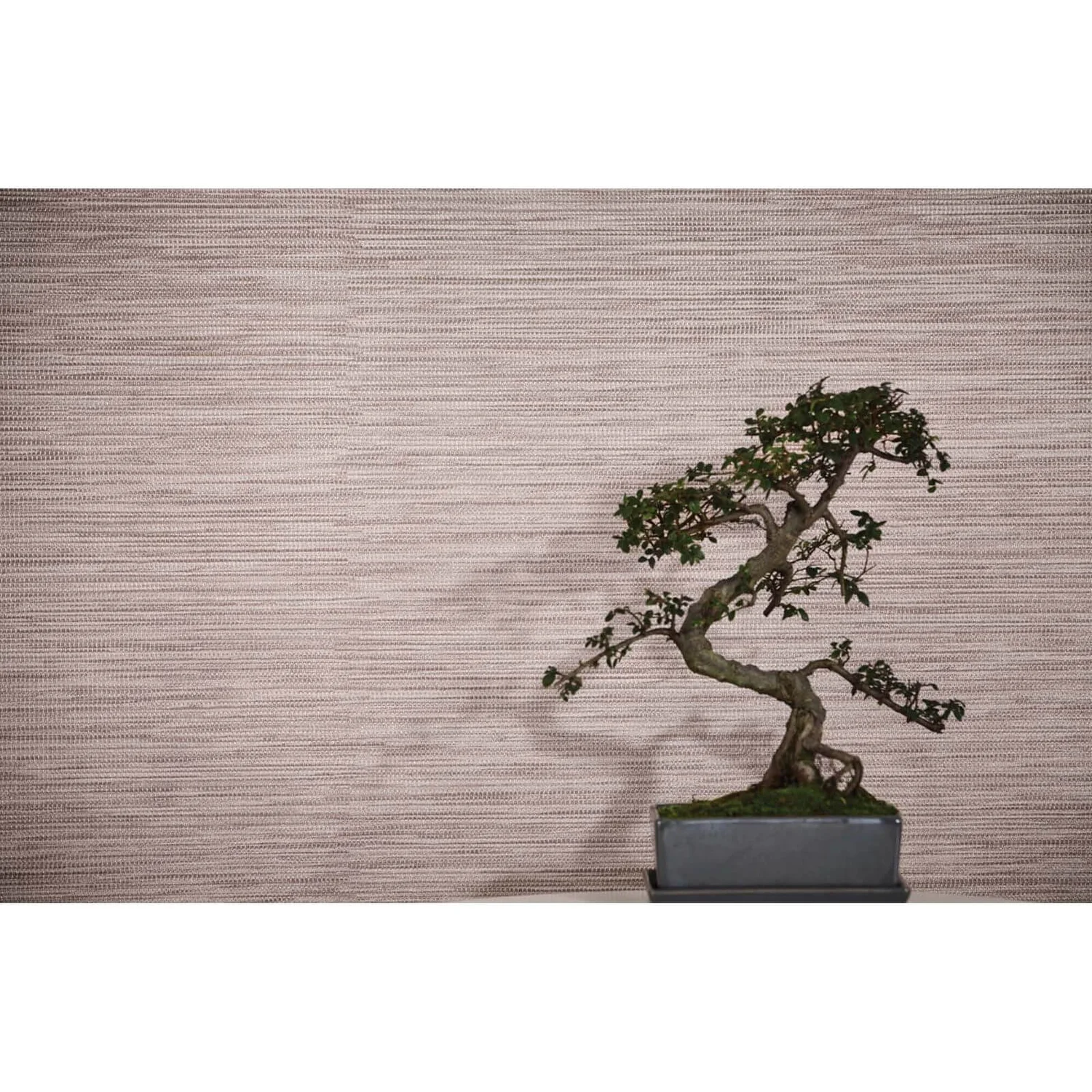 Arthouse Suki Plain Embossed Metallic Rose Gold Wallpaper 4 Arthouse Suki Plain Embossed Metallic Rose Gold Wallpaper - Image 2