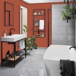 Homebase Bathroom Mid Sheen Paint - Orange Glow 2.5L -Paint Store 12832704 6094832981701962