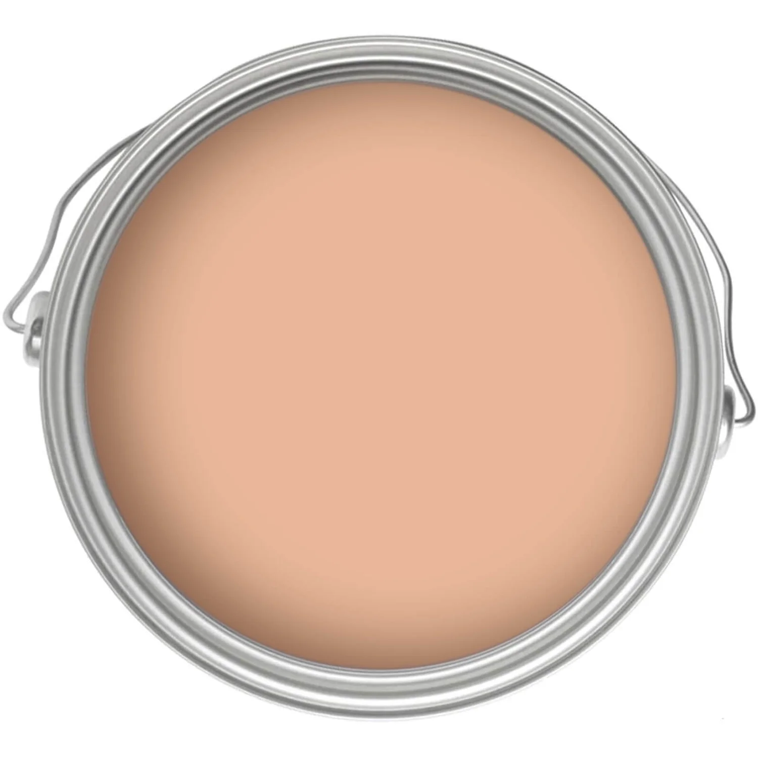 Craig & Rose 1829 Chalky Emulsion Paint Chatelaine - 2.5L 3 Craig & Rose 1829 Chalky Emulsion Paint Chatelaine - 2.5L