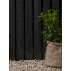 Ronseal Fence Life Plus Paint Tudor Black Oak - 5L 11 Ronseal Fence Life Plus Paint Tudor Black Oak - 5L -Paint Store 12833707 3314944410694045