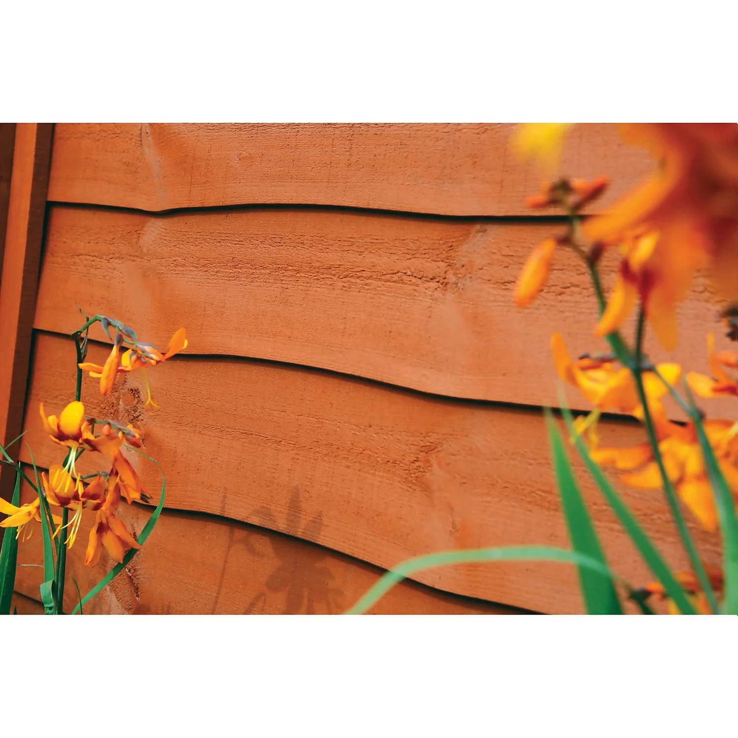 Ronseal Fence Life Plus Paint Red Cedar - 5L 6 Ronseal Fence Life Plus Paint Red Cedar - 5L - Image 4