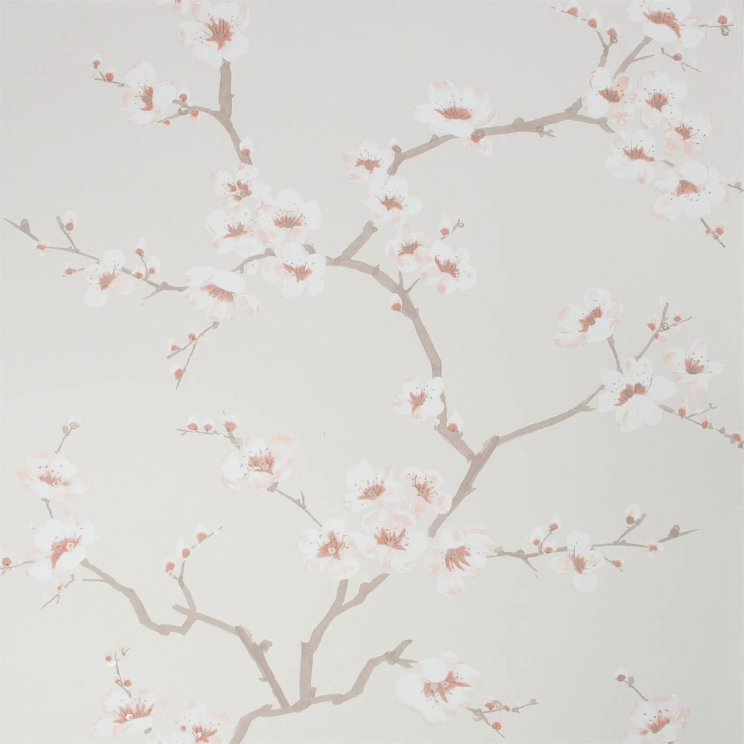 Fresco Apple Blossom Wallpaper - Burnt Orange 3 Fresco Apple Blossom Wallpaper - Burnt Orange