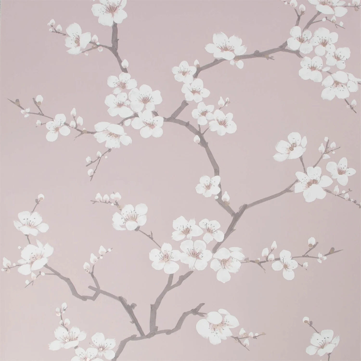 Fresco Apple Blossom Wallpaper - Pink 3 Fresco Apple Blossom Wallpaper - Pink