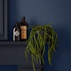 Crown Easyclean Bathroom Paint Midnight Navy - 40ml -Paint Store 12886554 1294853989547064