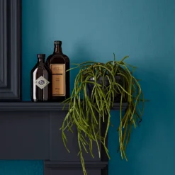 Crown Easyclean Bathroom Paint Teal - 0.04L -Paint Store 12886566 2014853989681893