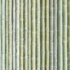 Organic Textures Bamboo Green Wallpaper -Paint Store 13120762 6854866361324230