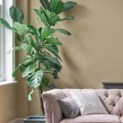 Paint Store -Paint Store 13134868 2105044435526910