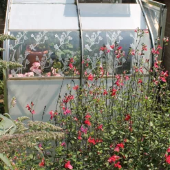 Thorndown Reed Green Peelable Glass Paint 750ml -Paint Store 13301883 1564920790535658