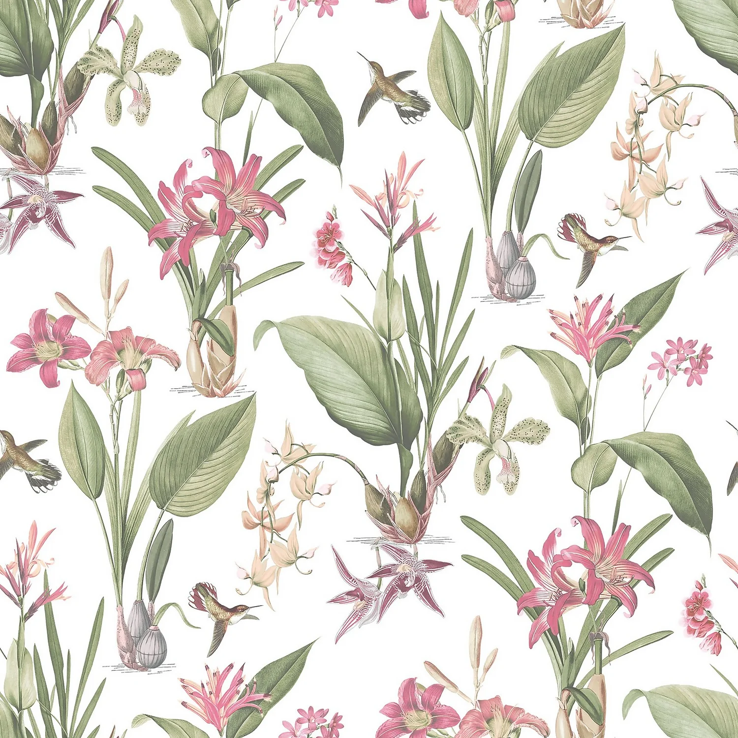 Galerie Botanical Illustration Pink A4 Wallpaper Sample 3 Galerie Botanical Illustration Pink A4 Wallpaper Sample