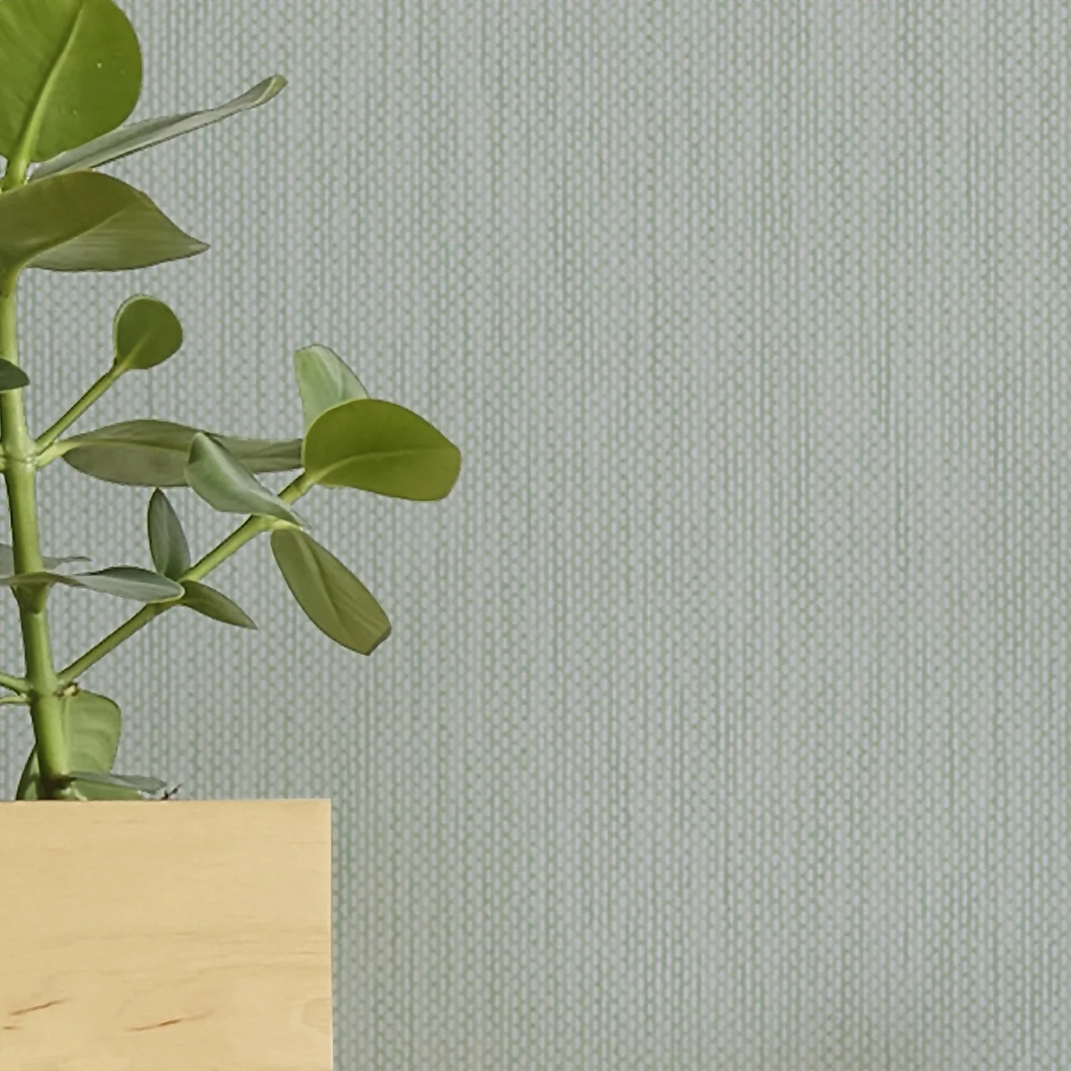 Superfresco Colours Aaron Sage Green Wallpaper 7 Superfresco Colours Aaron Sage Green Wallpaper - Image 5