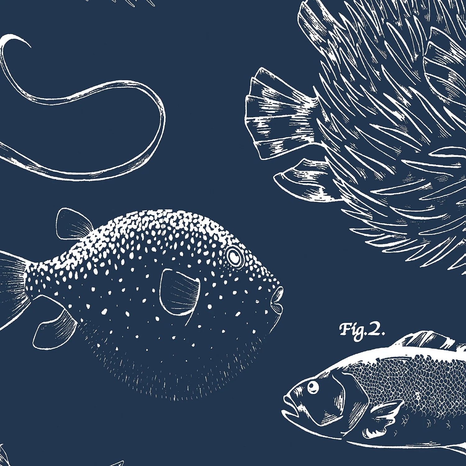 Contour Into The Deep Navy Wallpaper 4 Contour Into The Deep Navy Wallpaper - Image 2