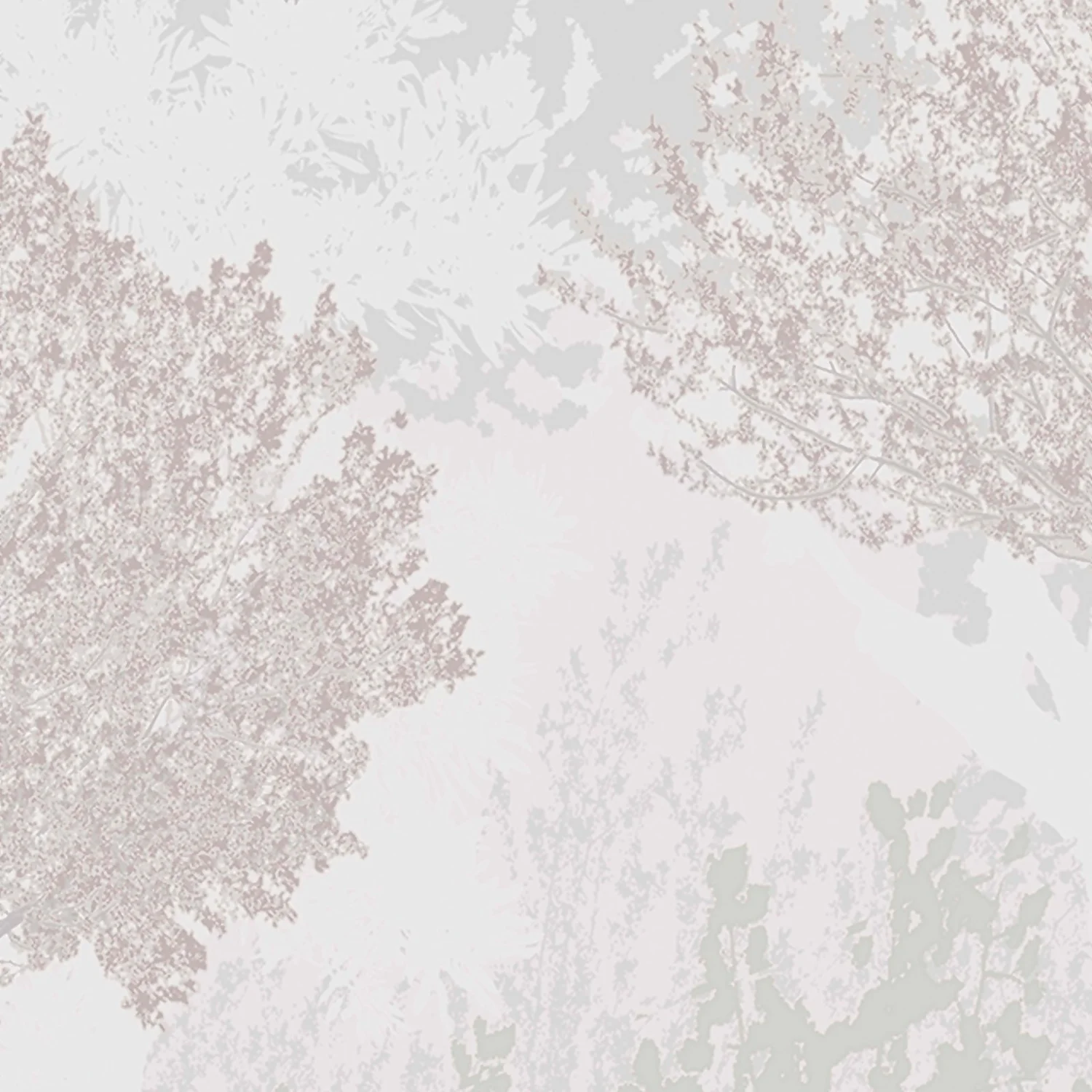 Superfresco Easy Birch Mauve Wallpaper 4 Superfresco Easy Birch Mauve Wallpaper - Image 2